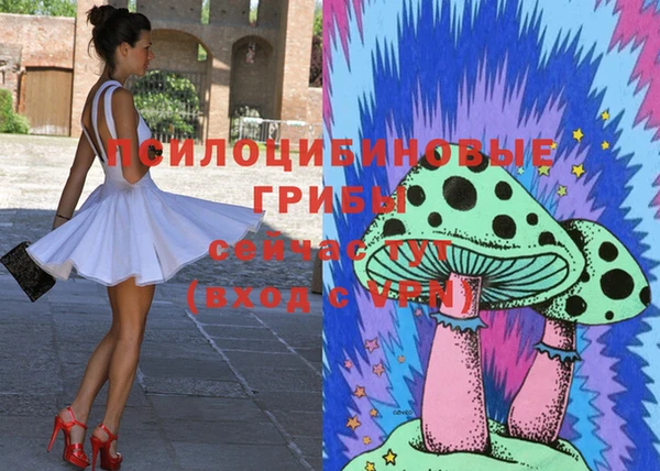 дурь Бронницы