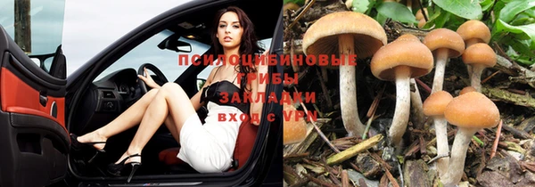 дурь Бронницы